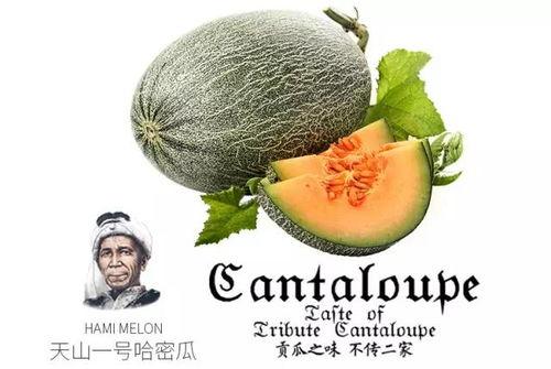 娱乐吃瓜设计理念是什么