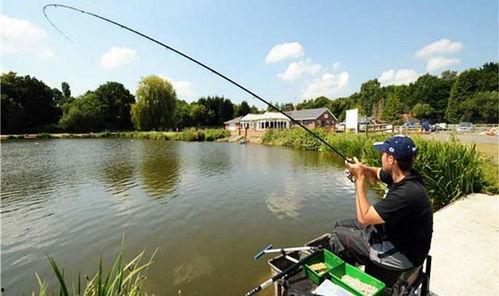 娱乐吃瓜君钓鱼,揭秘娱乐圈背后的秘密与八卦