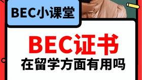 吃瓜大赛每日大赛爆料视频,每日爆料视频精彩回顾，揭秘娱乐圈幕后风云