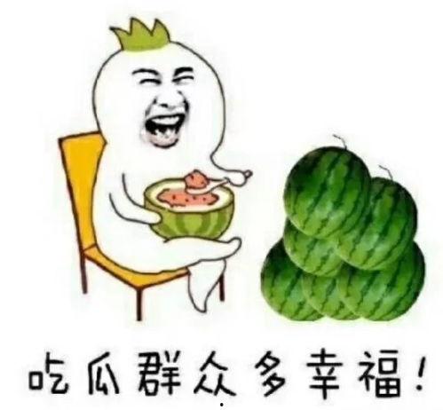 娱乐吃瓜铺,吃瓜群众背后的故事