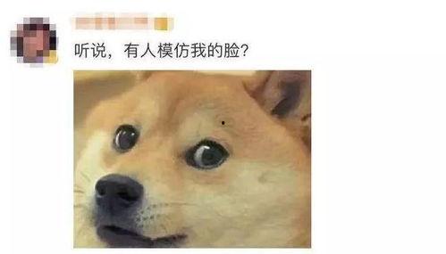 微信表情包吃瓜啥意思啊,揭秘微信表情包“吃瓜”背后的趣味与内涵